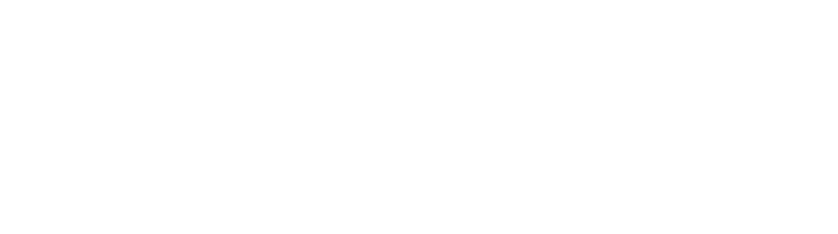 Blokiz